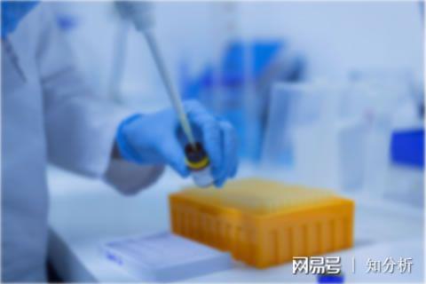 必一运动官网探险乐趣畅游爬山之旅