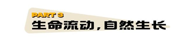 必一运动官网以流动更新的状态让生命自然呈现(图21)