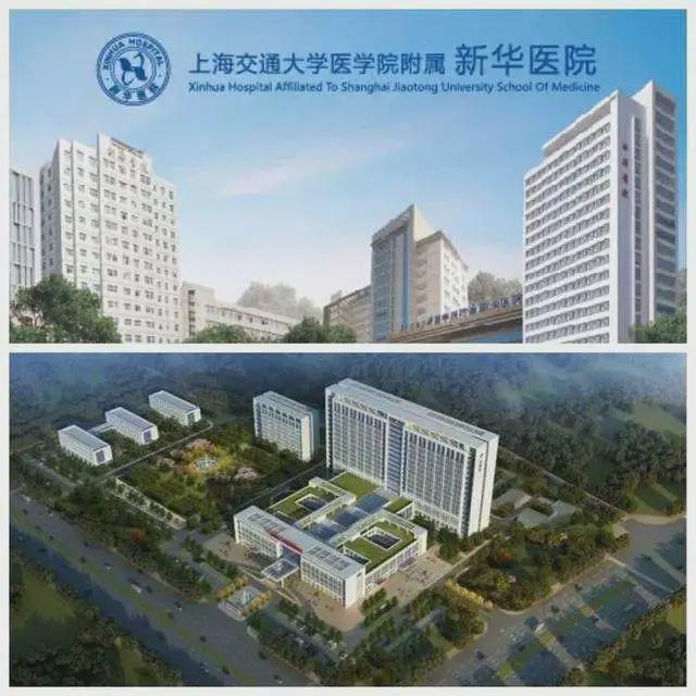 必一体育平台缦云上海售楼处电线最新房价）价格-户型面积-小区环境(图25)