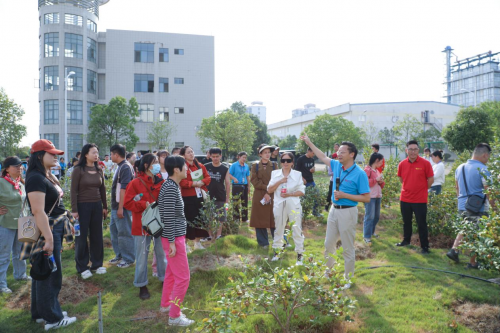 够野你就来——2024中国南酸枣之乡旅游文化音乐节齐云山登山节圆满收官必一体育官网(图4)