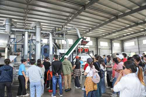 够野你就来——2024中国南酸枣之乡旅游文化音乐节齐云山登山节圆满收官必一体育官网(图6)