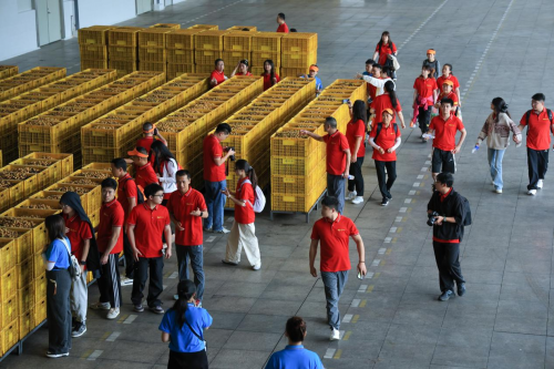 够野你就来——2024中国南酸枣之乡旅游文化音乐节齐云山登山节圆满收官必一体育官网(图9)