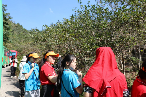 够野你就来——2024中国南酸枣之乡旅游文化音乐节齐云山登山节圆满收官必一体育官网(图12)