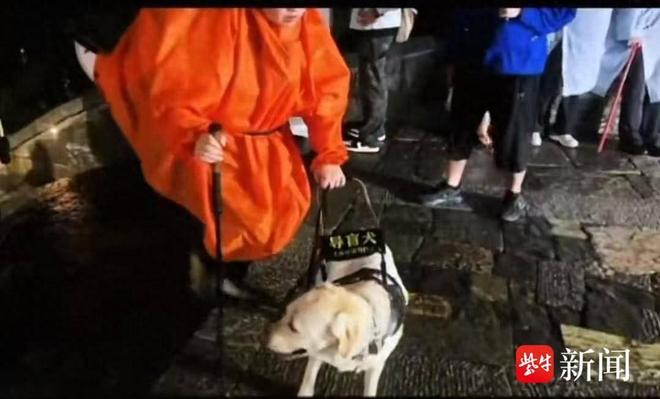 视障人士携导盲犬雨夜爬泰山引争议业内人士：导盲犬能否登山需经专业综合评估(图1)