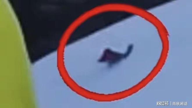 驴友雪山上滑倒坠崖在天地宏大叙事中的生命省思(图2)