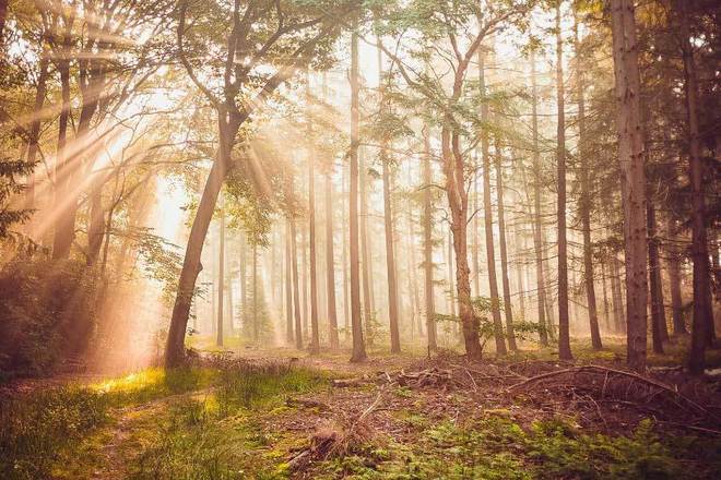 户外运动装备轻量化设计受欢迎(图2) 户外运动装备轻量化设计受欢迎(图2)