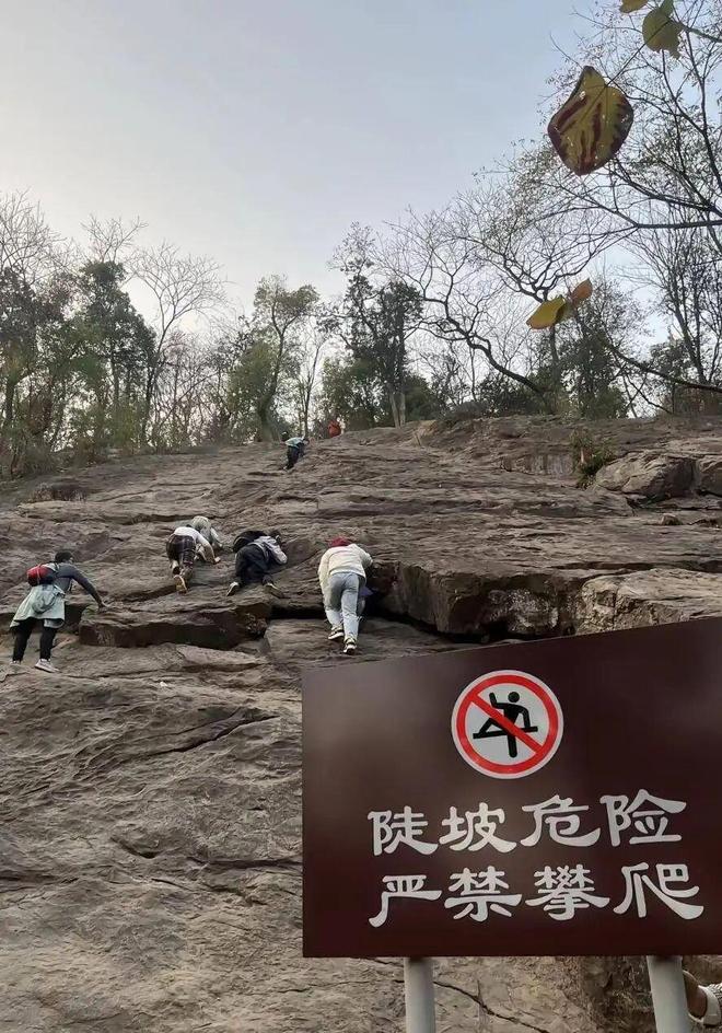 多名家长带娃野爬“绝望坡”几乎无防护装备景区:擅自进入风险自负(图2) 多名家长带娃野爬“绝望坡”几乎无防护装备景区:擅自进入风险自负(图2)
