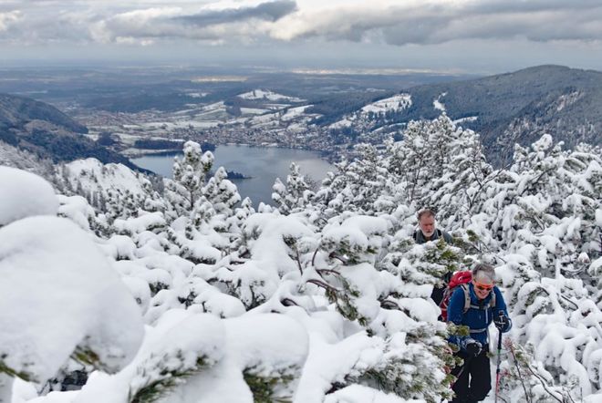 多名中国公民遇险！无装备穿跑鞋爬阿尔卑斯纯靠攻略一人重伤(图3)